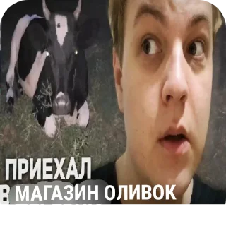 👍 emoji Приехал в деревню Telegram sticker 22 of 53