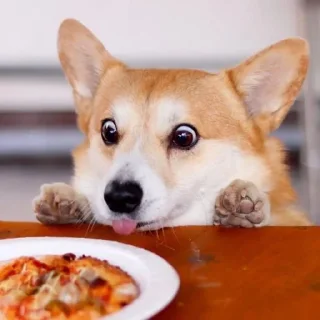 🌟 emoji Пёсили"-_ Telegram sticker 10 of 39