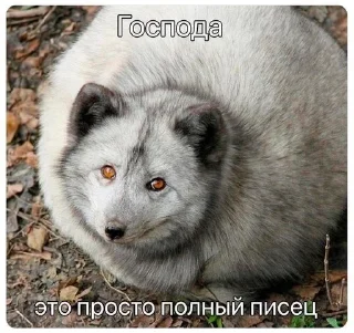 Sticker from протоплазменная вычислительная
