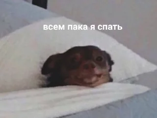 🌟 emoji подсветка кчау Telegram sticker 9 of 15