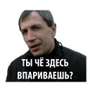 ❓ emoji Бумер | @cointrybot Telegram sticker 9 of 51