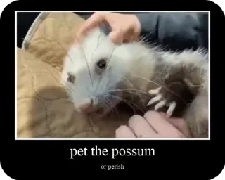 🥰 emoji uksus's opossums! Telegram sticker 6 of 120