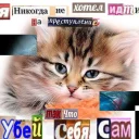 🗡 emoji попуги и другие животные Telegram sticker 24 of 120