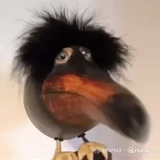 😐 emoji TikTok Memes Telegram sticker 12 of 53