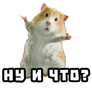 🤷‍♀️ emoji Хомяки @stickernayaa Telegram sticker 6 of 25