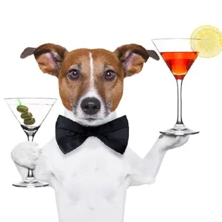 🍸 emoji Узбекский пёс(@gos_Aye) Telegram sticker 24 of 94