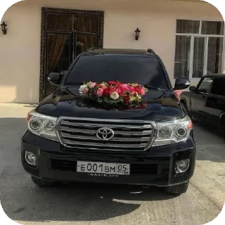 🚗 emoji Виу виу прокуратура Telegram sticker 5 of 17