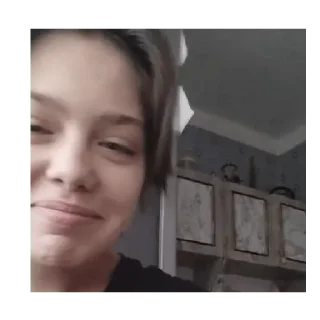 🙂 emoji Зачем? Telegram sticker 21 of 120