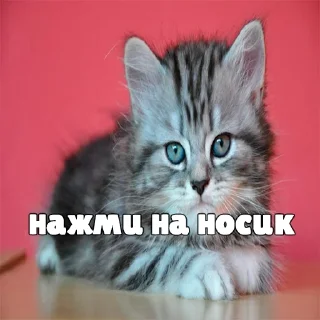 😈 emoji ну и ну | @tutodinpost Telegram sticker 11 of 11