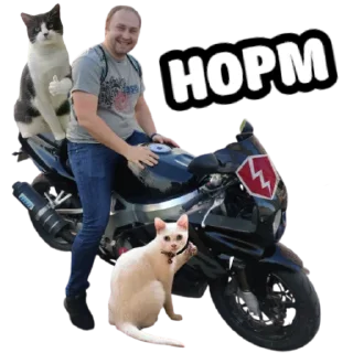 👍 emoji ебать ну и название Telegram sticker 15 of 72