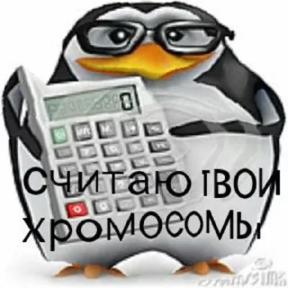 🎗 emoji пингвин в очках Telegram sticker 9 of 39