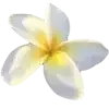 🌟 emoji любимые стики лилечки @lilnavavv :: @QstickBot Telegram sticker 17 of 199