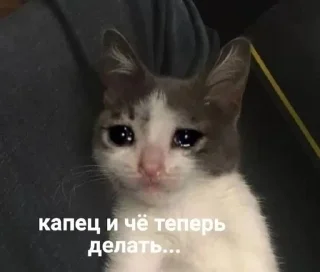 🌟 emoji Ворк ворк :: @iewooow Telegram sticker 17 of 51