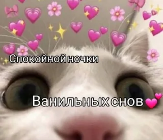 😘 emoji 😐 Telegram sticker 14 of 22