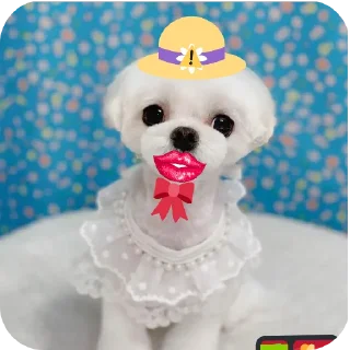 🧸 emoji ПРЕППІ РЕЗУЛЬТАТИ ✅️✅️✅️ Telegram sticker 20 of 120