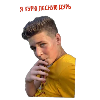 👾 emoji Банда чіна Telegram sticker 24 of 44