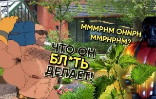 🤓 emoji MGE дачники Telegram sticker 10 of 17
