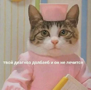 🤭 emoji Наркамань белки #3 Telegram sticker 13 of 120