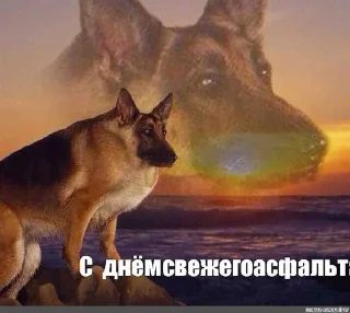 😍 emoji С днем @algebru !! Telegram sticker 13 of 17