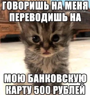 🌟 emoji каты Telegram sticker 6 of 35