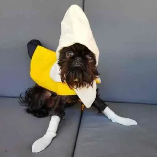 🍌 emoji Волосатый какиш Telegram sticker 9 of 14