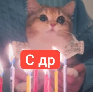 🤗 emoji Главный пак Telegram sticker 15 of 40