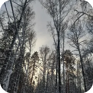🌌 emoji Красивые виды Telegram sticker 7 of 30