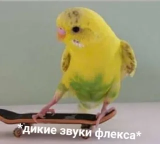 💃 emoji стикерс от соньки Telegram sticker 16 of 43