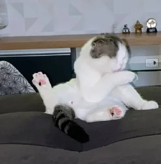🌟 emoji МИША БУДУЩЕЕ ЛИЦО ВСЕЛЕННОЙ Telegram sticker 10 of 36