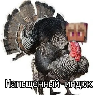 🥳 emoji Мемный папаня Джо от: @TopolinoAyse Telegram sticker 6 of 60