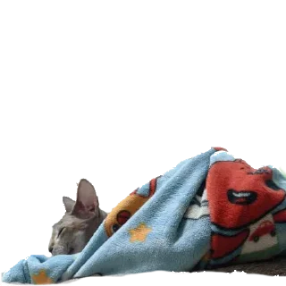 😌 emoji Лексус Telegram sticker 6 of 15