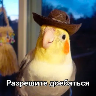Sticker from Попуги