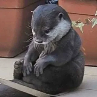 ☹️ emoji Життя Бентежне Telegram sticker 18 of 92