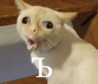 😝 emoji Енот Telegram sticker 20 of 94