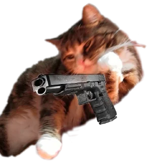 🔫 emoji Котики с пистолетами Telegram sticker 11 of 11