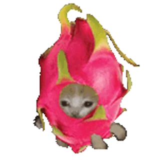 🐈 emoji @CLOOBHUB <- БОЛЬШЕ Telegram sticker 23 of 54