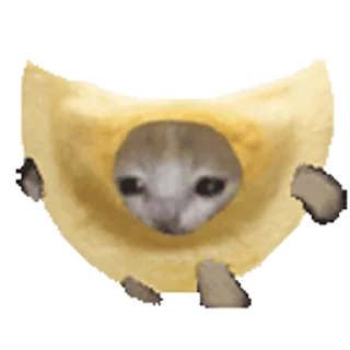 🐈 emoji @CLOOBHUB <- БОЛЬШЕ Telegram sticker 19 of 54