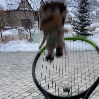 🏸 emoji плюши хайкью Telegram sticker 22 of 33