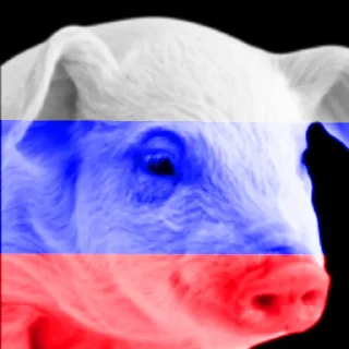 Sticker from Донецк, спишь?) by @vortison