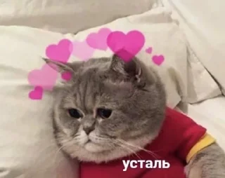 😞 emoji Миииил💗 Telegram sticker 5 of 49