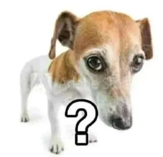 🧐 emoji МММ ХУЕТА @by: masegangerboost Telegram sticker 5 of 62