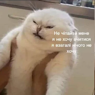 🌟 emoji лише українська
(юкіне) Telegram sticker 22 of 26