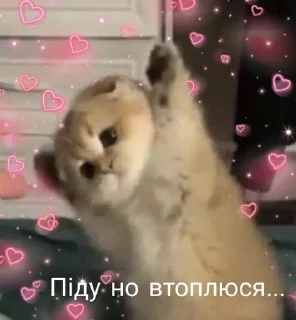 🌟 emoji лише українська
(юкіне) Telegram sticker 18 of 26