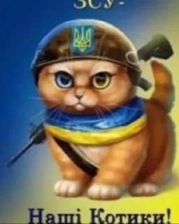 🌟 emoji Сигмо стiкери для Добрi коло Telegram sticker 6 of 120