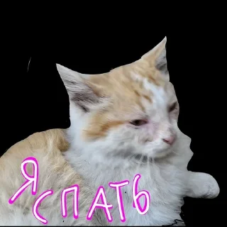 Sticker from Япииии
