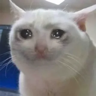 😥 emoji смейся, понял? Telegram sticker 10 of 59