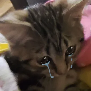 😢 emoji сахарок няняня Telegram sticker 13 of 15