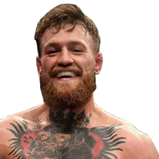 ☺️ emoji MMA Telegram sticker 14 of 75