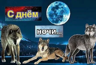 Sticker from С днем дня