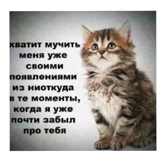 🪦 emoji Чего ты хочешь меня не существует удали етот пак👋 Telegram sticker 19 of 48